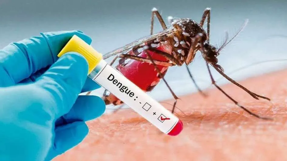 Tres casos del dengue en el Hospital Puyo