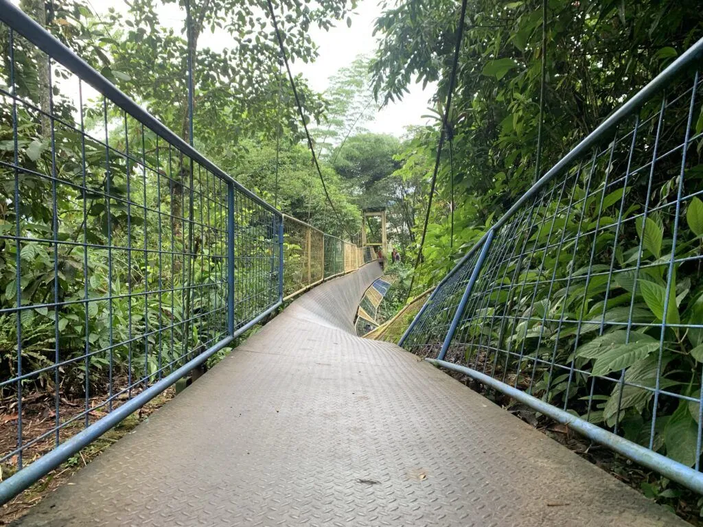 Caída del puente en puyo