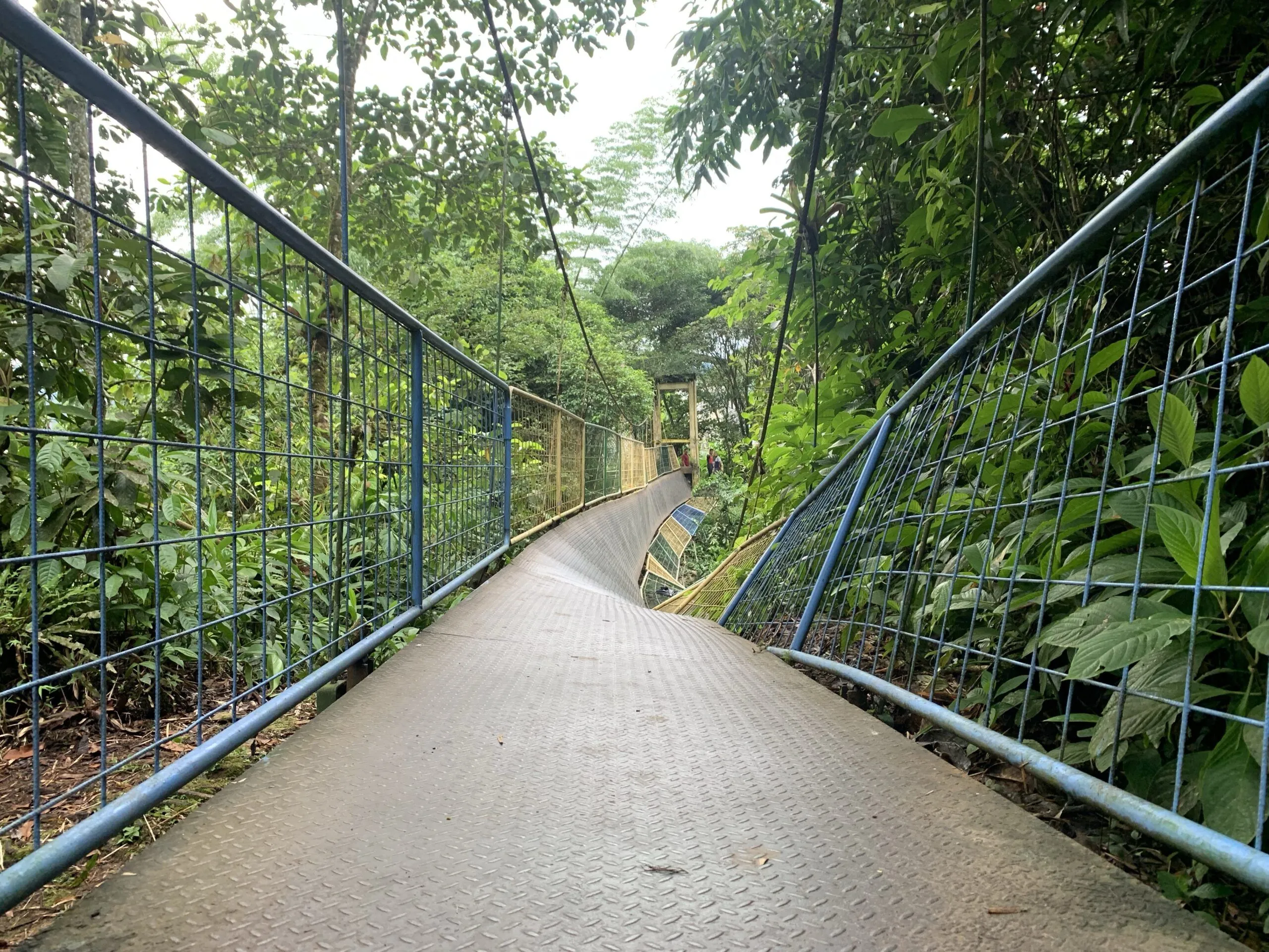 Caída del puente en puyo
