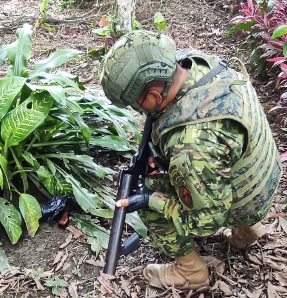 Fuerzas Armadas encontraron una arma en Shell