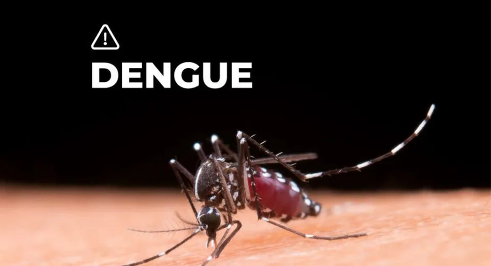 ALERTA POR DENGUE EN PASTAZA: 241 CASOS