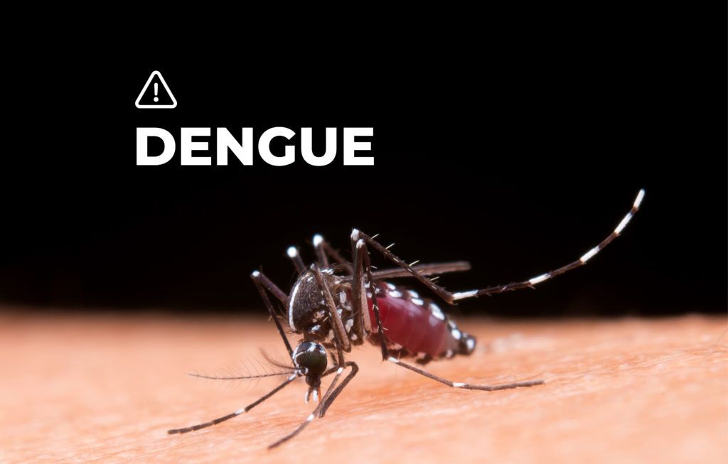 ALERTA POR DENGUE EN PASTAZA: 241 CASOS