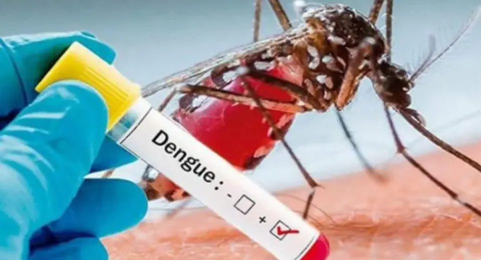 298 casos de Dengue en Pastaza