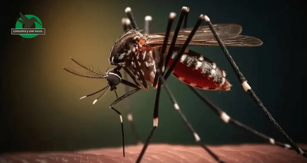 Dengue en Pastaza: 435 casos confirmados hasta el 10 de abril